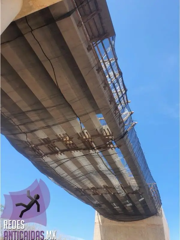 14_PHOTO-2025-10-08-09-26-59