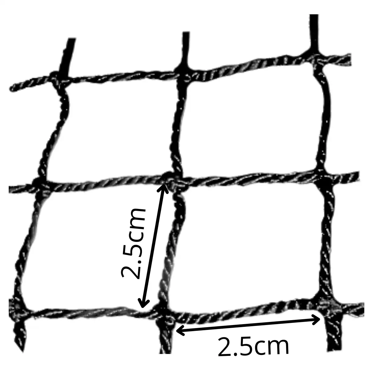 15_Lienzo-Red-Anticaida-Tienda__1_