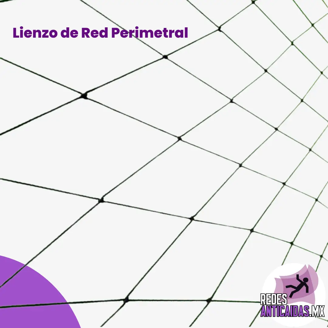 Lienzo de Red Perimetral de 4 pulgadas